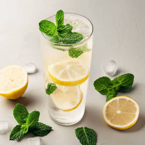 Mint Mojito