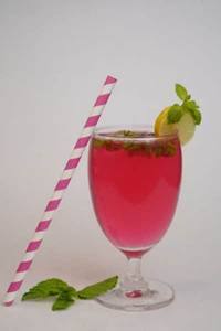 Watermelon Mojito