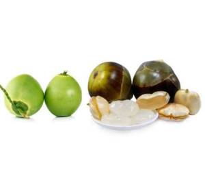 Tender Coconut Nungu (Large)