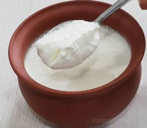 Plain Dahi