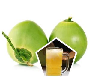 Tender Coconut Sarbath (750 Ml)