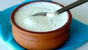 Plain Dahi