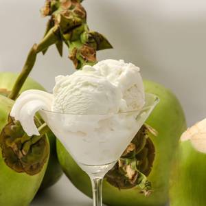 Tender Coconut Ice Cream