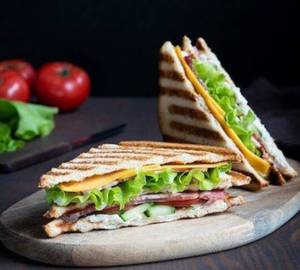 Veg Mexican Sandwich