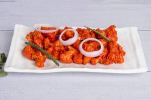 Gobi 65