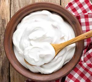 Plain Dahi