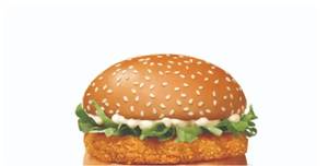 Paneer Burger + Ketchup