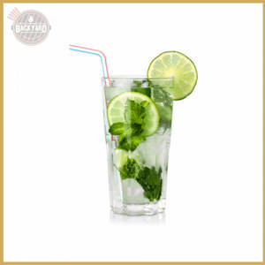 Virgin Mojito