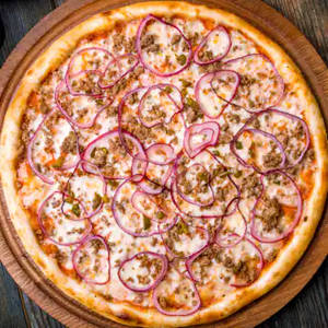 Onion cheese pizza