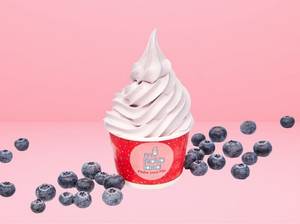 Blueberry Frozen Yogurt