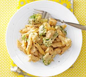 Alfredo penne pasta non veg