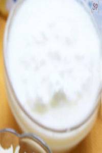 Plain Curd