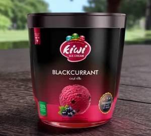 Black Current Premium Ice Cream (500 Ml Tub )