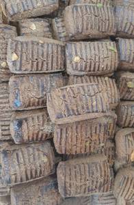 Chocolate Biscuits [500gms]