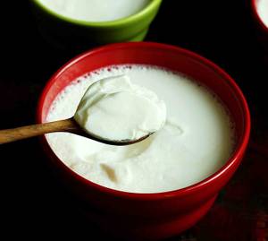 Dahi (Simple Curd)