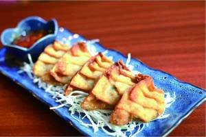 Veg Age Gyoza Japanese Deep Fried Dim Sum