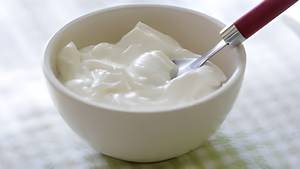 Plain Curd