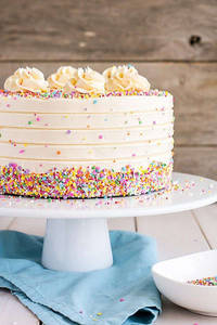 Vanilla Cake (450 Gms)