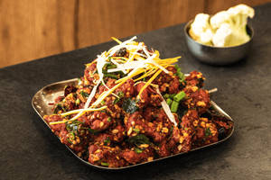 Bombay Gobi - Large