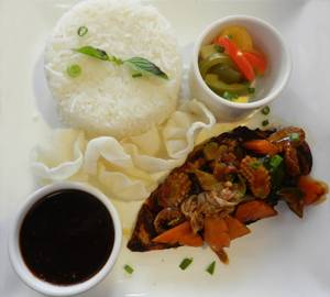 Grilled Teriyaki Chicken