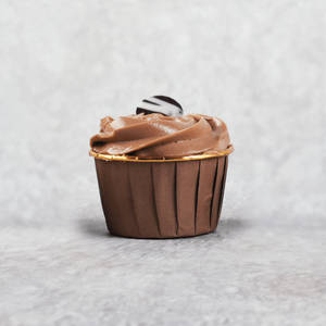 Chocolate Cupcake