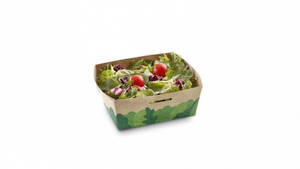 Veggie Garden Salad