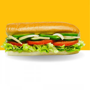 Veg Delight Sub