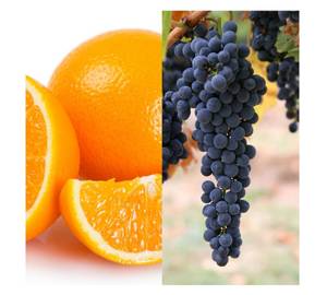 Orange Within Grape (Large)