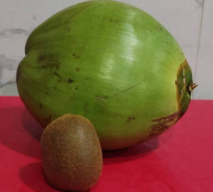 Tender Coconut Kiwi Juice (750 ml)