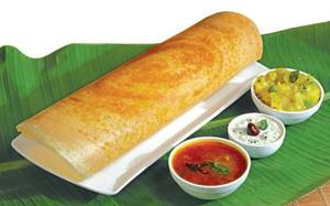 Plain Dosa