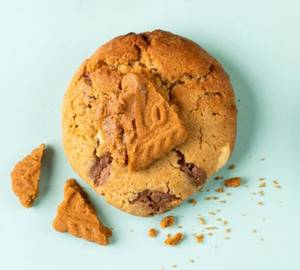Basic Brown Biscuit Cookie