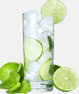 Mint Lime Juice