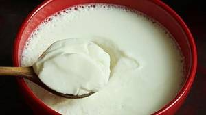 Curd