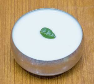 Plain Dahi