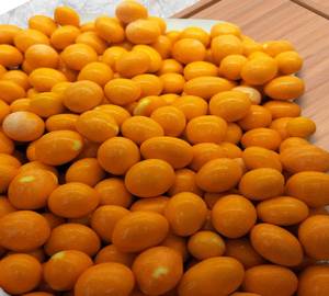 Mango White Compound Treat Bucket (200gms)