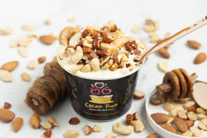 Dry Fruit Savor ice cream