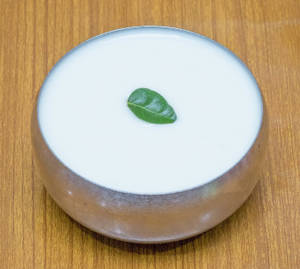 Plain Curd