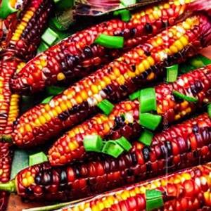 Chilli Pepper Corn