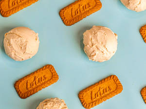 Lotus Biscoff Gelato