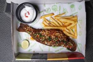 Kashmir Trout Classic Continental Trout Fish