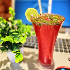 Watermelon Mojito