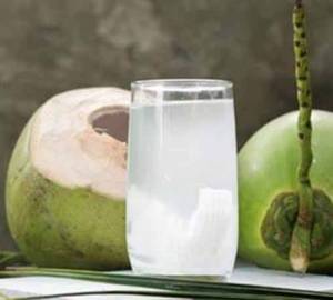 Tender Coconut Pure Coconut Water Only 750 Ml