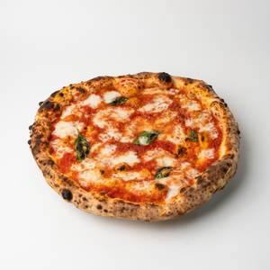 Margherita  Pizza