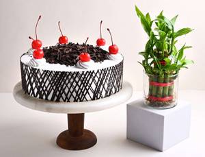Black Forest Cake with Lucky Bamboo Plant