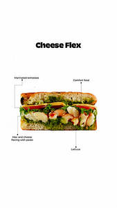 Cheese Flex(mac & Cheese Sandwich)