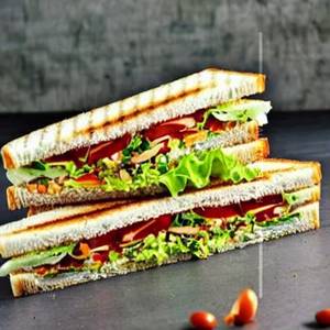 Veg Salad Plain Sandwich