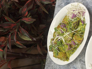 Cottage Cheese Green