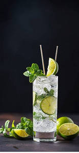 Virgin Mojito