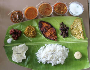 Special Meals