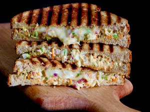 Veg Cheese Grill Sandwich